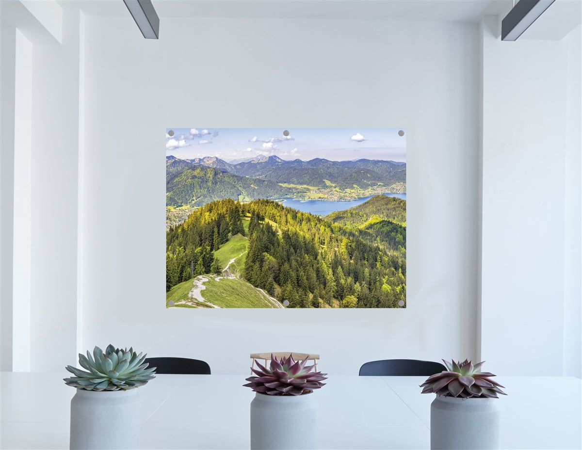 Custom Acrylic Print